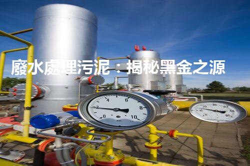 廢水處理污泥：揭秘黑金之源，你知道它們能變廢為寶嗎？